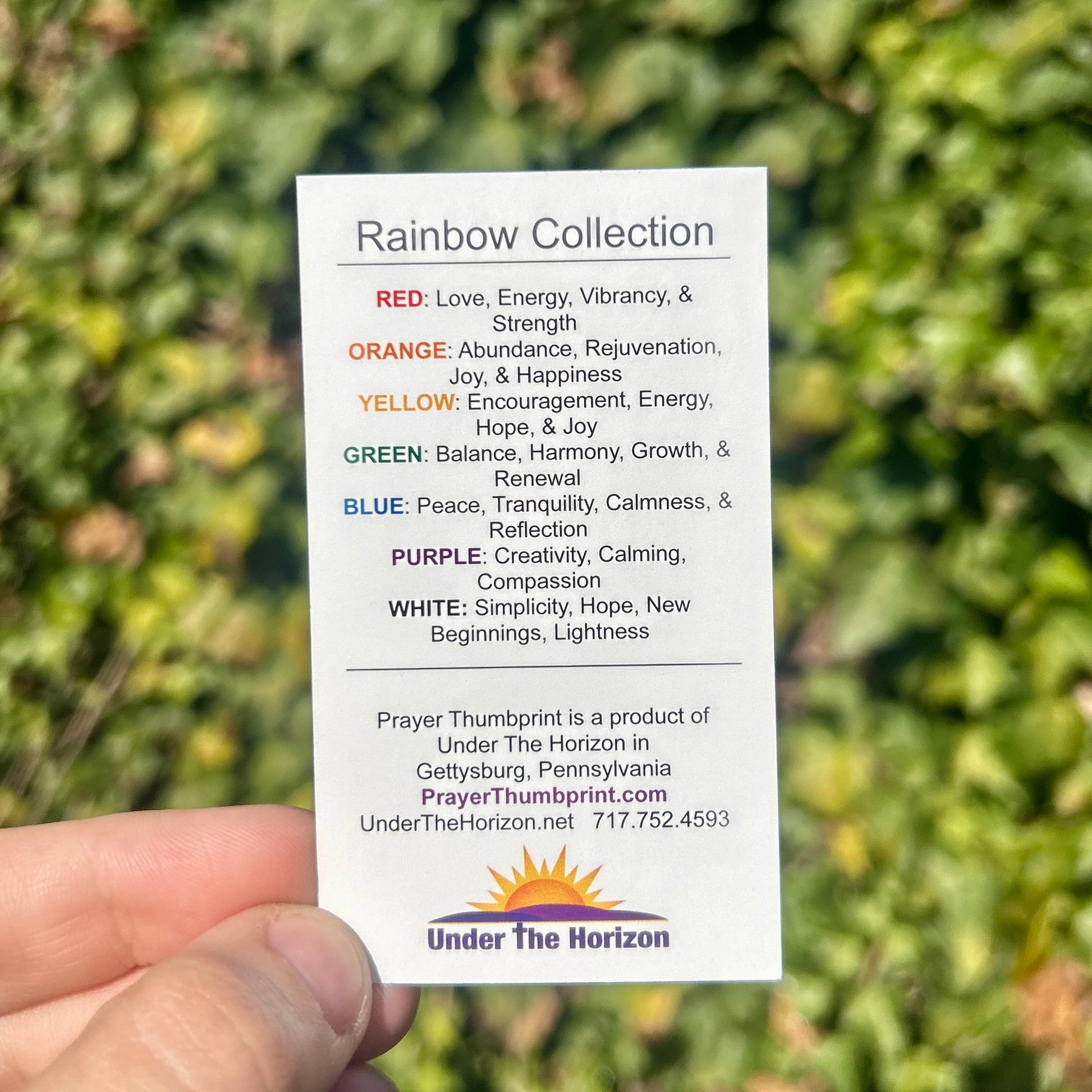 Rainbow Thumbprint Collection Card- back