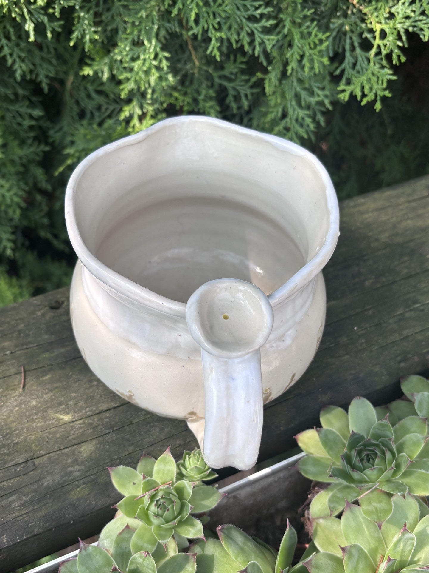 Mustard Seed Thumbprint Pitcher
