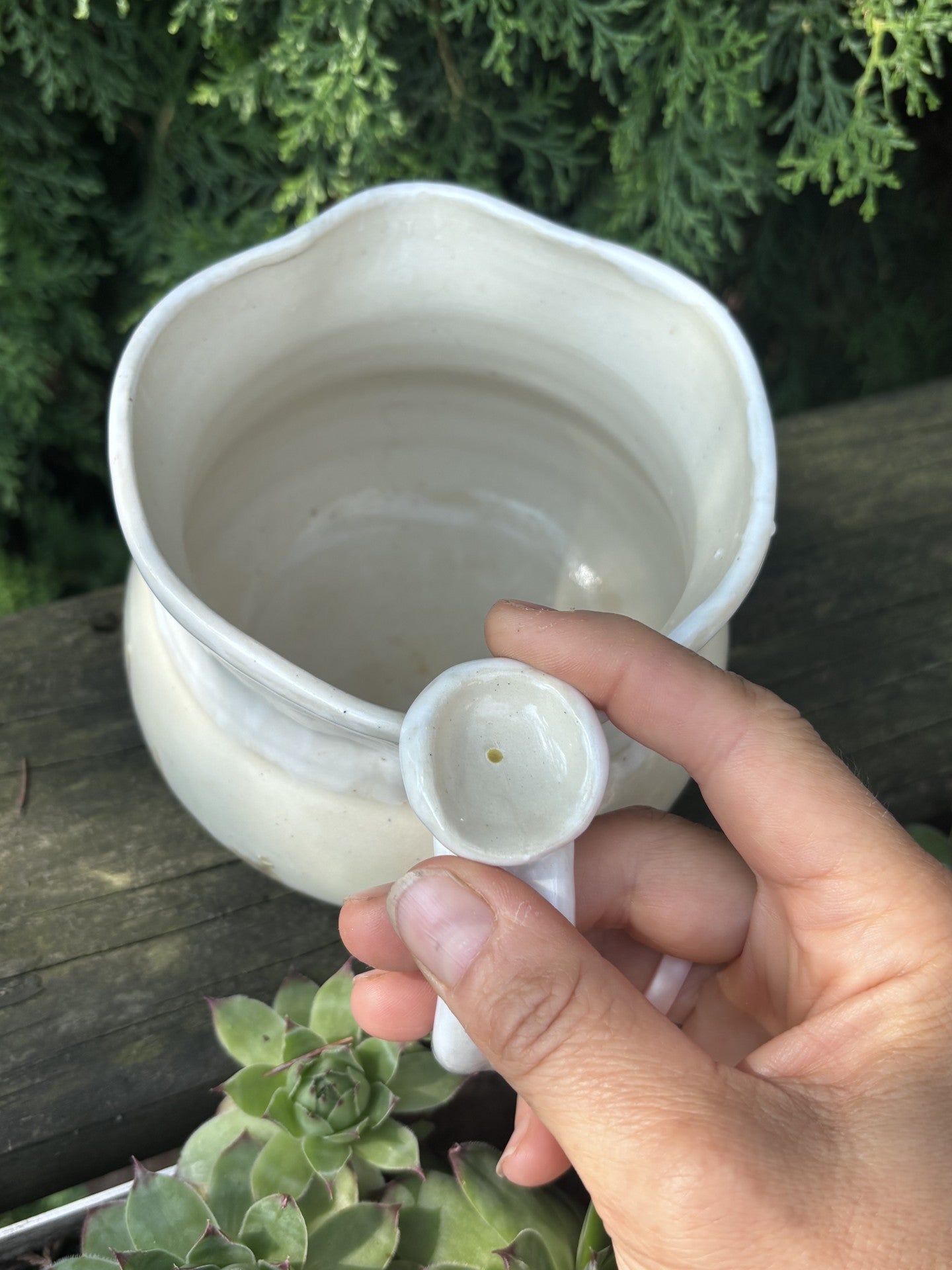 Mustard Seed Thumbprint Pitcher