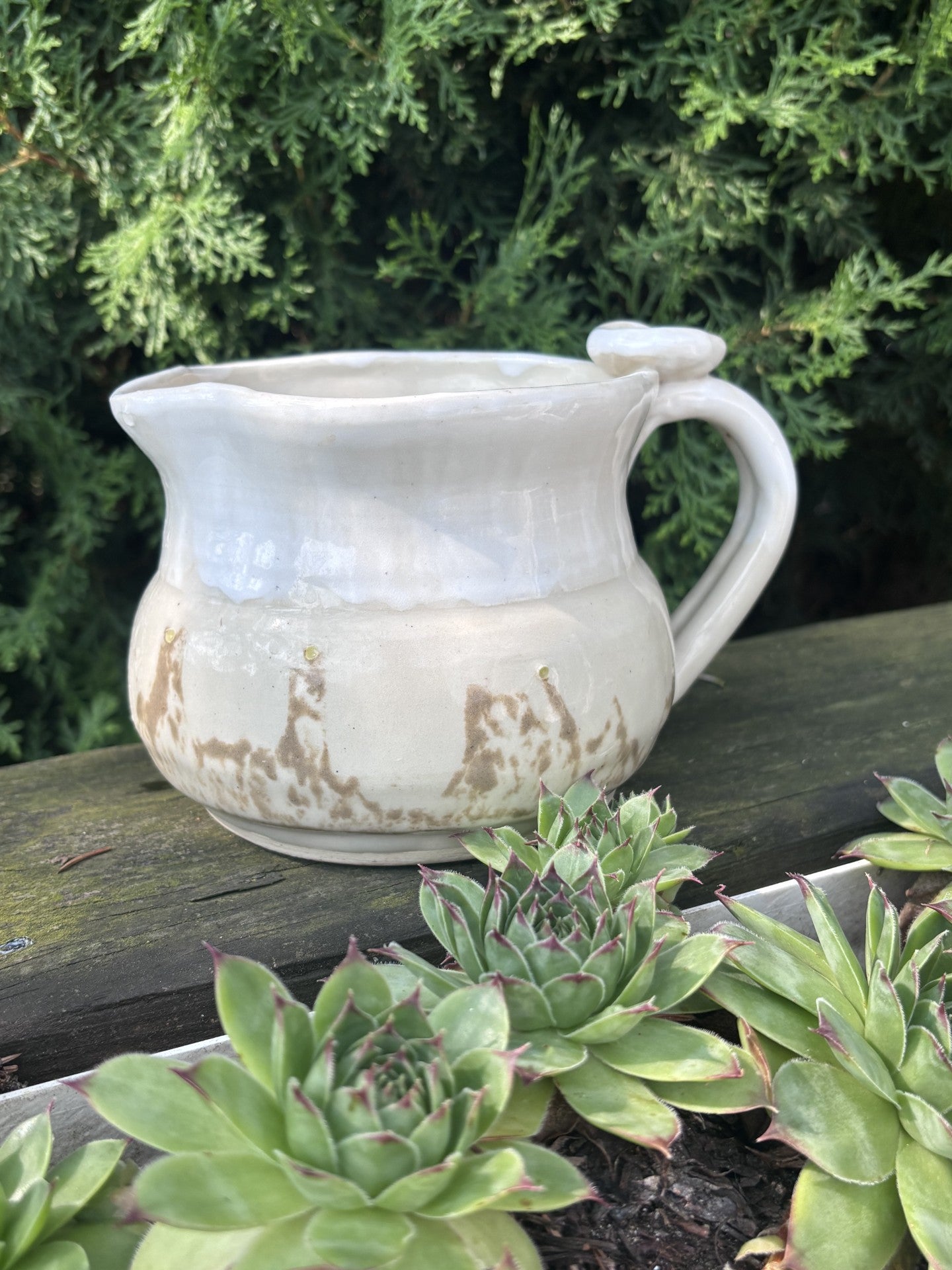 Mustard Seed Thumbprint Pitcher